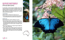 Load image into Gallery viewer, Attracting Butterflies to Your Garden