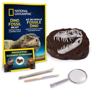 Dinosaur Dig Kit