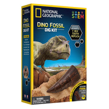 Load image into Gallery viewer, Dinosaur Dig Kit