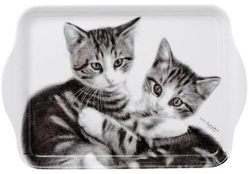Feline Friends Cuddling Kittens Scatter Tray by Ashdene
