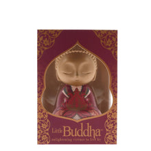 Load image into Gallery viewer, Little Buddha Things You Have - 90mm Figurine