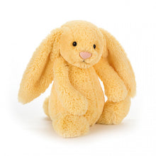 Load image into Gallery viewer, Jellycat Bashful Bunny Small